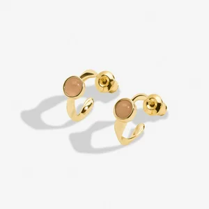 BIRTHSTONE HOOP EARRING | NOVEMBER | Gold Plated | Earrings - image 2