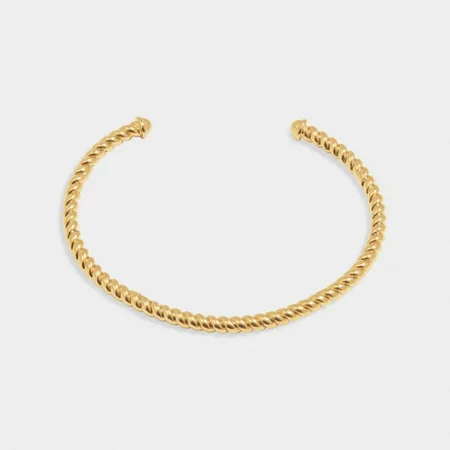 CELINE ROPE BANGLE | Gold Coated | 0.48cm x 6.28cm x 4.98cm - image 1