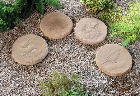KK Stepping Stone Wildlife