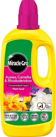 Miracle Gro Azalea, Camellia and Rhododendron Ericaceous 800ml
