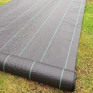 Mulch Sheet Polythene Black 2m