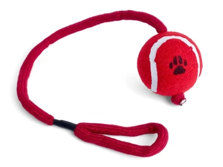 P/Face Tennis Ball On A Rope