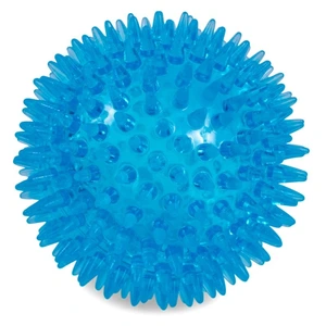 Petface Toyz Space Ball Blue Large