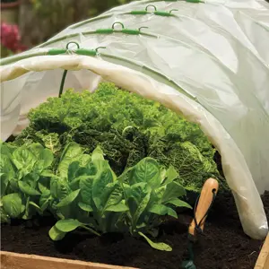 Poly Sheet Polythene Clear 2m