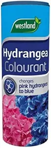 W/land Hydrangea Colourant 500g