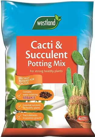 Westland Cactus & Succulent Peat Free Potting 4L