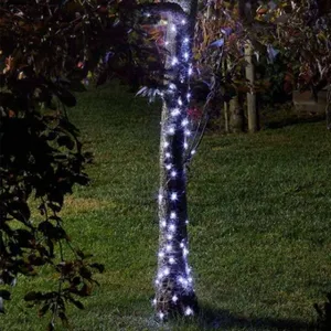 S/G 100 Cool White LEDs String Lights