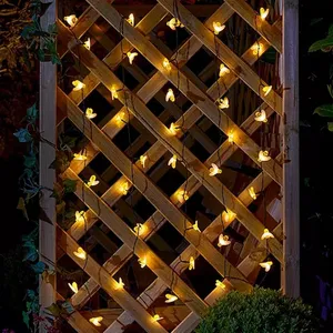 S/G Buzzy Bee Lights - Set of 50