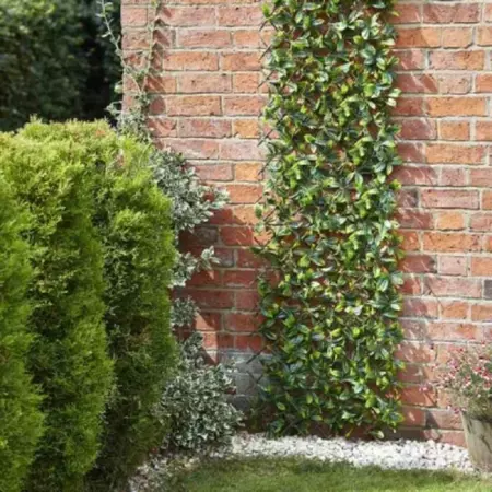 S/G Lemon Leaf Trellis 180cmx90cm