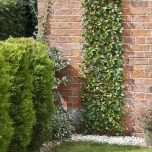 S/G Lemon Leaf Trellis 180cmx90cm