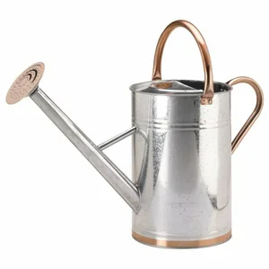 S/G Watering Can Galvanised 9L