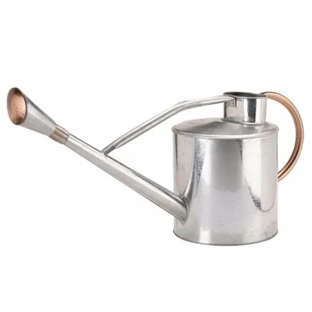 S/G Watering Can Long Reach 9L