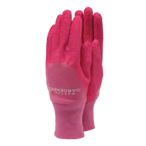 T&C Master Gardener Raspberry Small 6-7