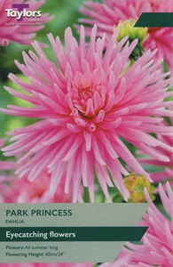 Dahlia Park Princess I P/P
