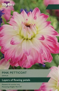 Dahlia Pink Petticoat I P/P
