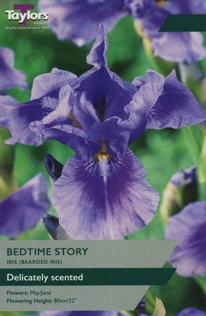 Taylor's Bulbs IRIS BEDTIME STORY 1 P/P