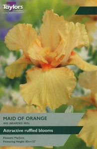 Iris Maid Of Orange I P/P