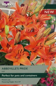 Lily Abbevilles Pride 12-14 P/P
