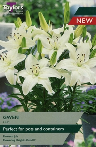 Lily Gwen 12-14 P/P