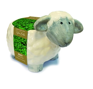 Novelty Sheep Planter