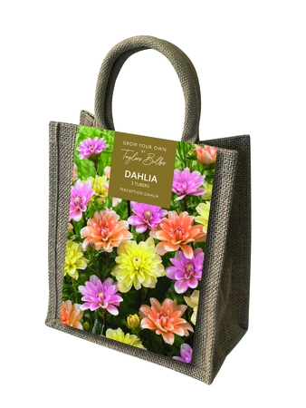 Dahlia Perception Jute Gift Bag