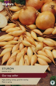 Onion Sturon 14-21 P/P