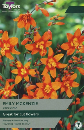 CROCOSMIA EMILY MACKENZIE 7+ P/P