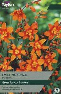CROCOSMIA EMILY MACKENZIE 7+ P/P