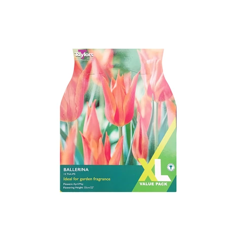 Tulip Ballerina 10-11 XL