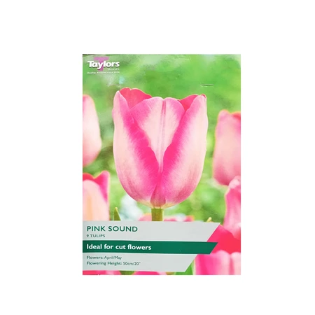 Tulip Pink Sound 11-12 P/P