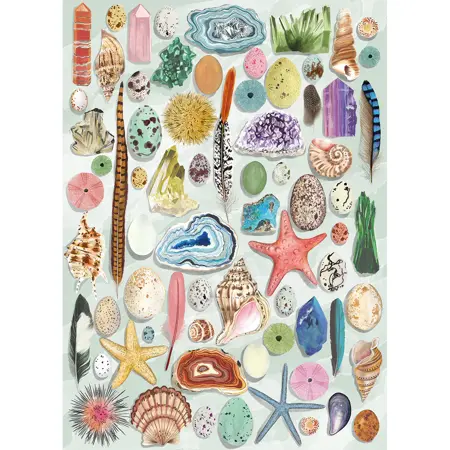 The Art File: Natural Curiosities (1000) - image 2