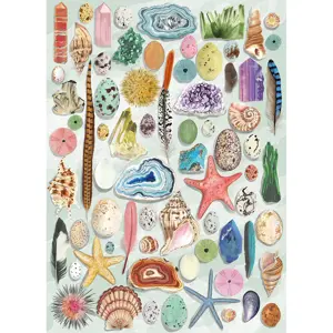The Art File: Natural Curiosities (1000) - image 2