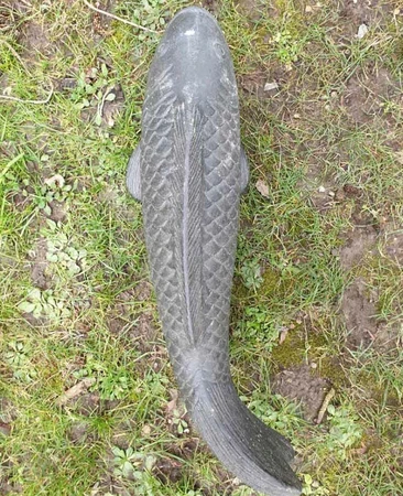 Tripod Koi 40cm - image 1
