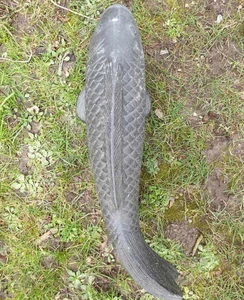 Tripod Koi 40cm - image 1