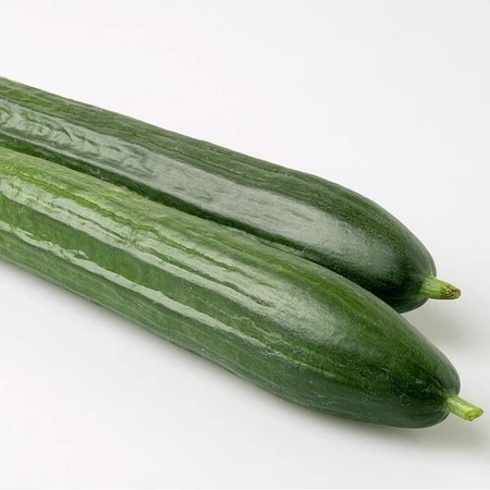Cucumber Carmen 10.5cm