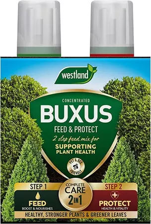 Westland 2in1 Feed And Protect Buxus 2x500ml