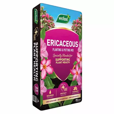 Westland Ericaceous Plant & Pot 25L