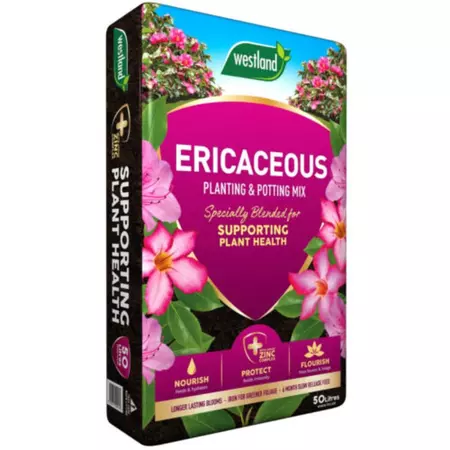 Westland Ericaceous Plant & Pot Mix 50L
