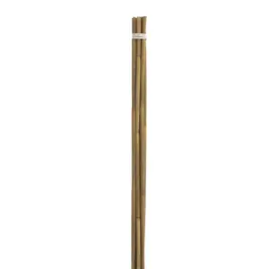 Woodlodge Bamboo Cane 240cm Pack 5