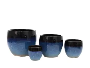 Cleo Reactive Blue 2 Pot 17Cm