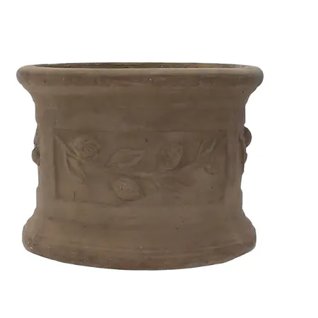 Lemon Choc Terr Pot 31Cm