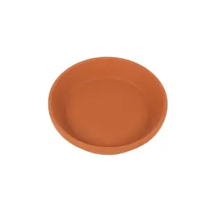 Plain Saucer 10In