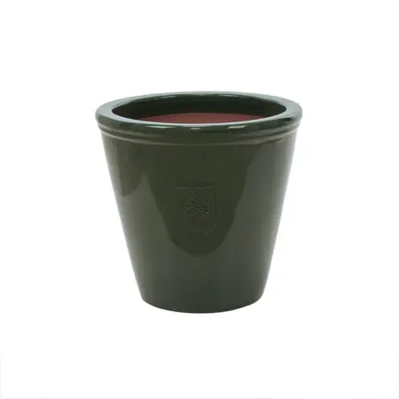 Rhs Wisley 2 Dg Pot 21Cm