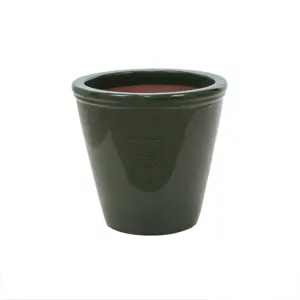 Rhs Wisley 2 Dg Pot 21Cm