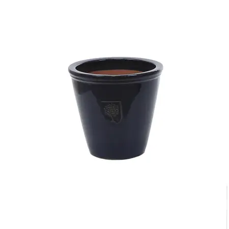 Rhs Wisley 2 Pl Pot 26Cm