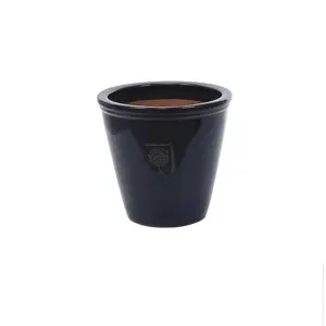 Rhs Wisley 2 Pl Pot 26Cm