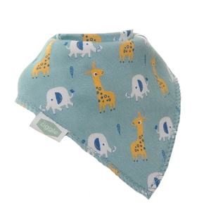 Giraffe and Elephant